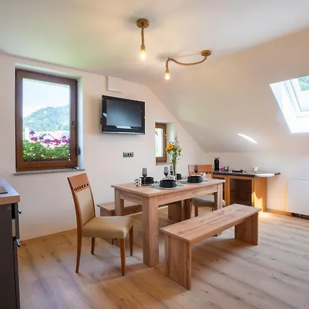 Hom At Vintgar Apartment 3*