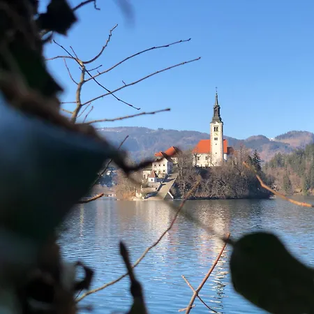 Hom At Vintgar 3* Zgornje Gorje