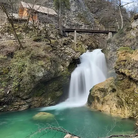 Apartment Hom At Vintgar 3*