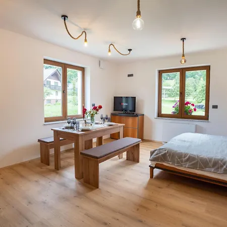 Apartment Hom At Vintgar 3*