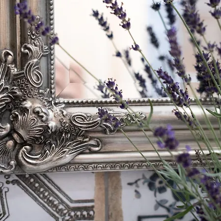 Hom At Vintgar Zgornje Gorje