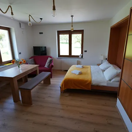 Hom At Vintgar Apartment 3*