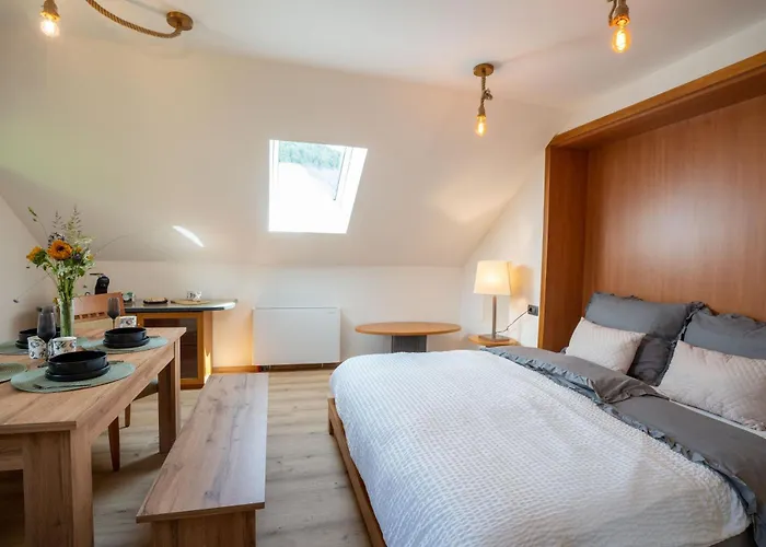 Hom At Vintgar Apartamento