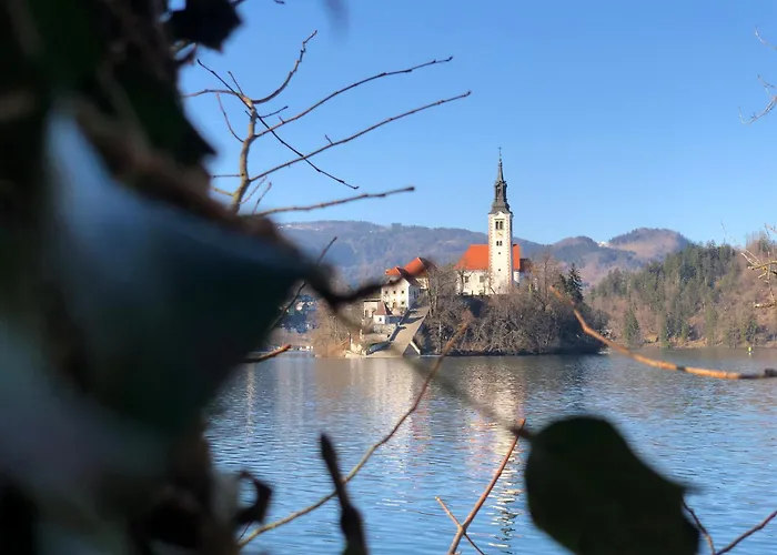 Hom At Vintgar 3* Zgornje Gorje