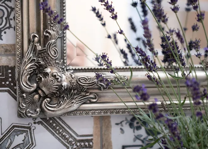 Hom At Vintgar Zgornje Gorje